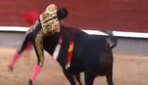 YOUTUBE Ivan Fandino, torero ucciso dal toro: incornata fatale al polmone