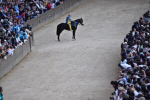 Palio di Siena: il cavallo Tornasol trovato positivo ai farmaci