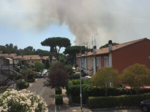 Incendi Roma, nuovo rogo a Castel Fusano e fiamme all'Eur FOTO