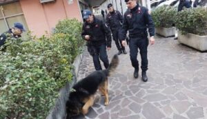 Empoli, il cane Batman fiuta la droga nel centro profughi e fa arrestare lo spacciatore