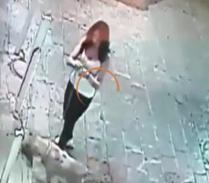 Cane abbandonato in strada: telecamera incastra la ragazza