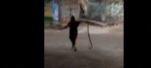 Anziana si libera del cobra trascinandolo per la coda 