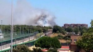 Roma, incendio pineta Castel Fusano a Ostia: chiusa ferrovia 