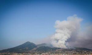 Vesuvio, animali vivi usati per estendere gli incendi: orrore sul vulcano