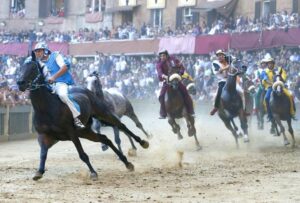 Palio di Siena, cavallo Tornasol si rifiuta di correre: la Procura indaga