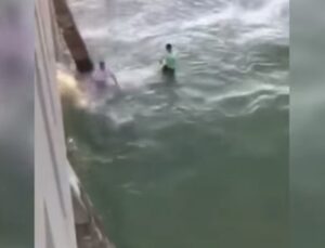 YOUTUBE Pescatore cerca di salvare squalo impigliato nella rete e viene morso 