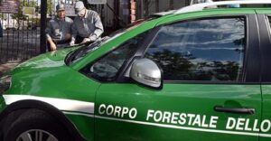 Corpo Forestale e Carabinieri, accorpamento da rivedere: decide la Corte Costituzionale. La sentenza del Tar Abruzzo