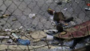 Il palazzo nel ghetto di Genova completamente invaso da ratti VIDEO