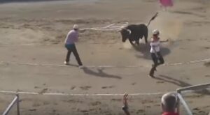  Animalista interrompe corrida e viene incornato dal toro