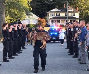 Usa, il picchetto d'onore al cane poliziotto Hunter malato di cancro