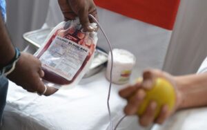 Anzio, casi di febbre Chikungunya da zanzare: stop a donazioni sangue