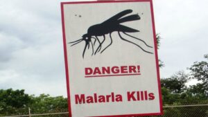 Super malaria, l'allarme in Asia: resiste ai farmaci. Corsa contro il tempo perché non si diffonda in Africa