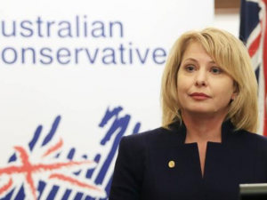 Rachel Carling-Jenkins, parlamentare australiana, scopre foto con bimbi nel pc del marito e lo denuncia 