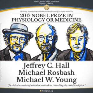 Nobel Medicina 2017 a Hall, Rosbash e Young: svelato meccanismo molecolare dell'orologio biologico