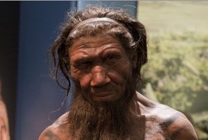 Neanderthals-umani-evoluzione-nasi