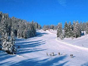 Trentino- sciatore-morto-Folgarida