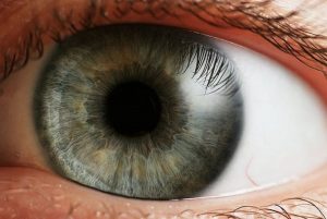 Retina artificiale impiantata in paziente cieca: un microchip per vedere di nuovo