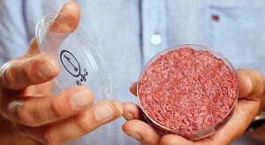 La carne sintetica e realtà: ma i costi....