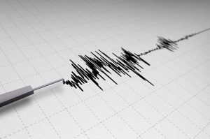 terremoto marche sismografo