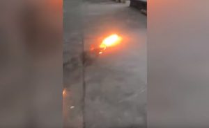 Topo palla di fuoco: hanno bruciato gabbia