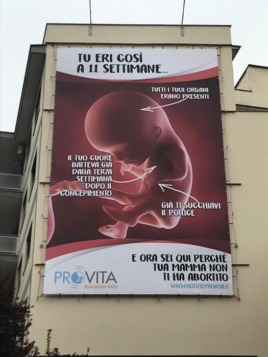 maxi manifesto provita anti aborto