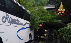 Firenze, grosso albero si abbatte sul bus carico di turisti: 5 feriti