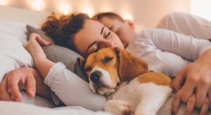 Cani e gatti, cuccia addio: uno su due dorme nel lettone