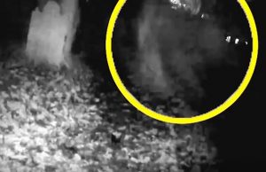 Fantasma nel cimitero di notte: misterioso VIDEO