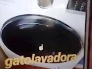 Spagna, ragazza di 23 anni uccide un gatto in lavatrice. Arrestata