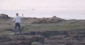 YOUTUBE Ragazzi prendono a sassate le foche alla riserva naturale di St Mary