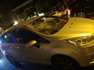 Roma, albero crolla su auto con donna incinta a due passi dal Vaticano1