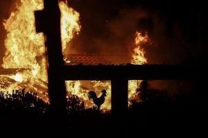 Grecia, arsi vivi per mano dell'uomo: 47 focolai accesi tutti insieme