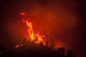 California, incendio minaccia Parco di Yosemite. Morto un vigile del fuoco