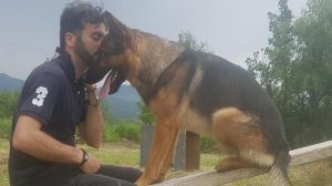Kaos: il cane eroe del terremoto 2016 morto avvelenato nel giardino di casa