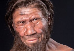 I Neanderthal sapevano accendere il fuoco. La ricerca di una università olandese (foto Ansa)