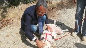 Sergio Costa con cagnolina Mia