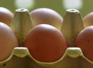 Uova fresche, rischio salmonella: ritirati tre lotti dell'Avicola Peligna (foto Ansa)