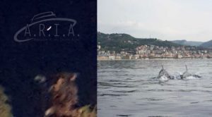 Ufo in Liguria: oggetto volante non identificato ad Albenga (Savona)