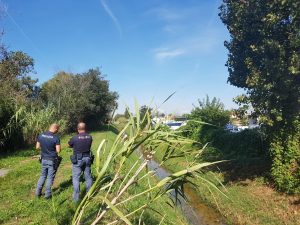 Fiumicino, cadavere in un canale all'Isola Sacra: forse è una donna scomparsa