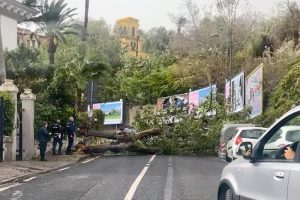 Allerta meteo, vento forte anche a Napoli: alberi cadono in strada5