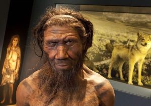 Neanderthal, denti fossili di 450 mila anni fa trovati in Italia riscrivono l'evoluzione