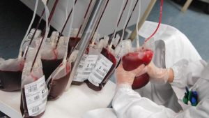 Vicenza, morta di epatite C da sangue infetto. 43 anni dopo la verità: "Colpa di una trasfusione"