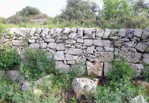 Unesco, i "muretti a secco" dichiarati patrimonio dell'Umanità (foto Ansa)