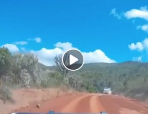 Kenya, in jeep nella foresta inseguiti da banditi con machete VIDEO