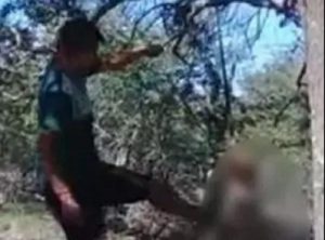 Cane appeso ad albero e ucciso a bastonate in Argentina
