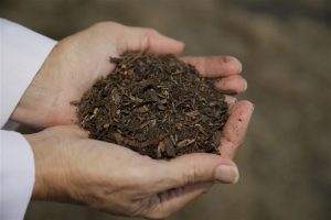Compost umano, si fertilizza la terra con i cadaveri