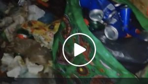 Torre del Greco, anziana abbandonata in casa tra rifiuti e scarafaggi. A Chi l'ha visto? le immagini del degrado