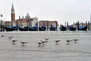 Venezia, tassa di sbarco per i turisti: allo studio 4 bollini da 3 a 10 euro
