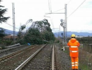 Caos treni tra Calabria e Sicilia, associazioni consumatori insorgono: "Trenitalia rimborsi i viaggiatori"