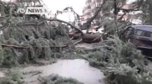 Maltempo Venezia, a Spinea due alberi cadono su otto macchine: nessun ferito